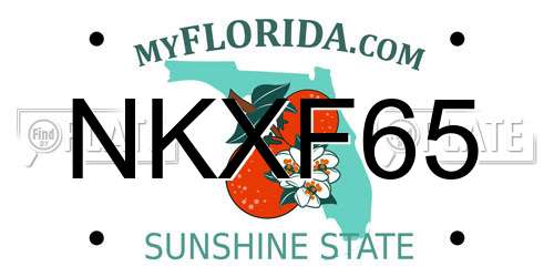 NKXF65 Florida License Plate