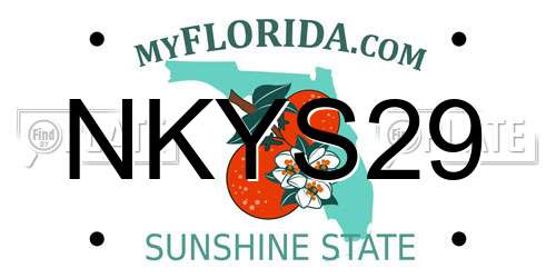 NKYS29 Florida License Plate