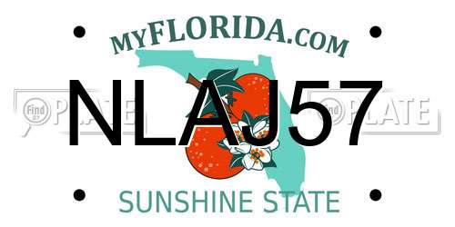 NLAJ57 Florida License Plate