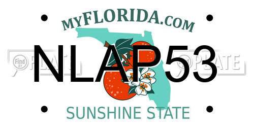NLAP53 Florida License Plate
