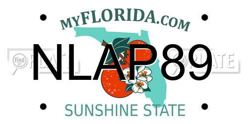 NLAP89 Florida License Plate