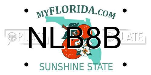 NLB8B Florida License Plate