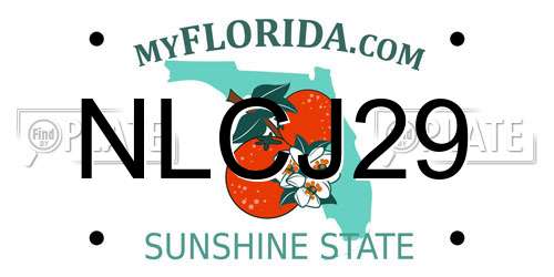NLCJ29 Florida License Plate