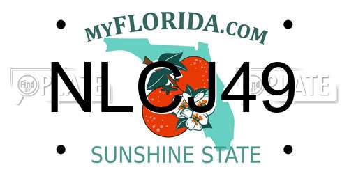 NLCJ49 Florida License Plate
