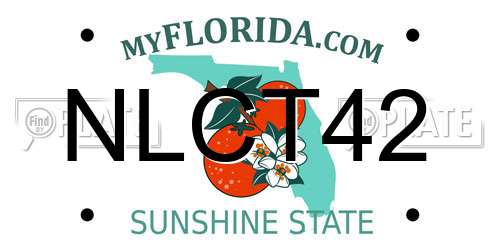 NLCT42 Florida License Plate