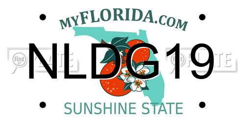 NLDG19 Florida License Plate