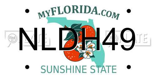 NLDH49 Florida License Plate