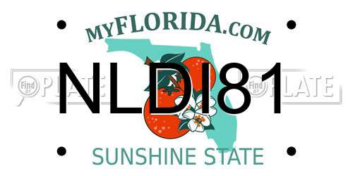 NLDI81 Florida License Plate