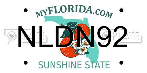 NLDN92 Florida License Plate