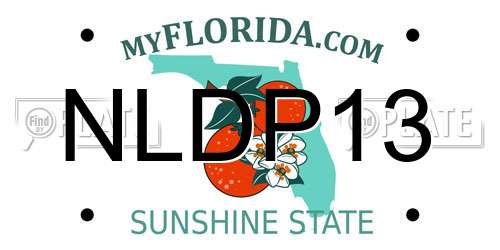 NLDP13 Florida License Plate