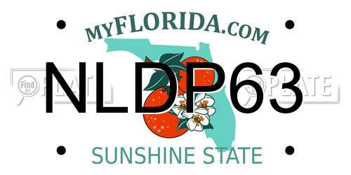 NLDP63 Florida License Plate