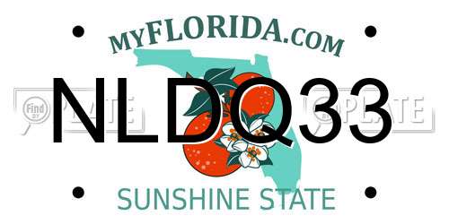 NLDQ33 Florida License Plate