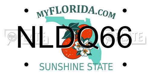 NLDQ66 Florida License Plate
