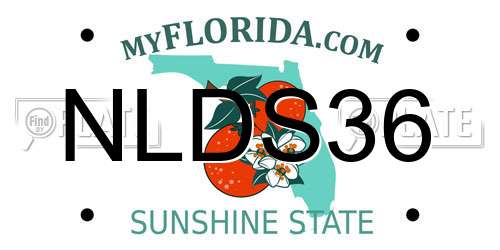 NLDS36 Florida License Plate