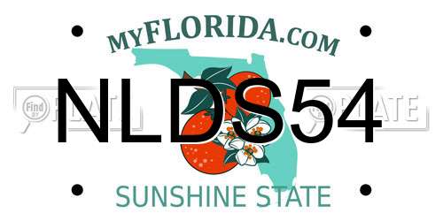 NLDS54 Florida License Plate