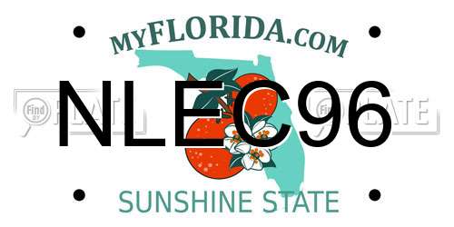 NLEC96 Florida License Plate