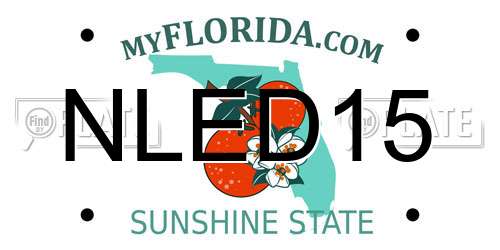 NLED15 Florida License Plate