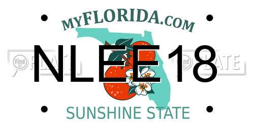 NLEE18 Florida License Plate