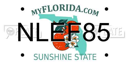 NLEF85 Florida License Plate