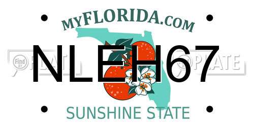 NLEH67 Florida License Plate