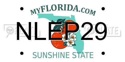 NLEP29 Florida License Plate