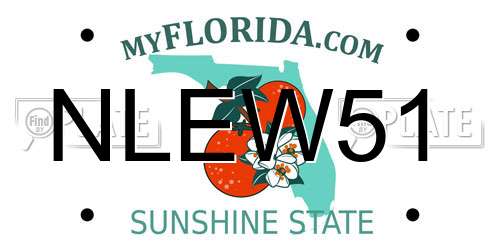 NLEW51 Florida License Plate