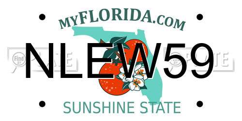 NLEW59 Florida License Plate