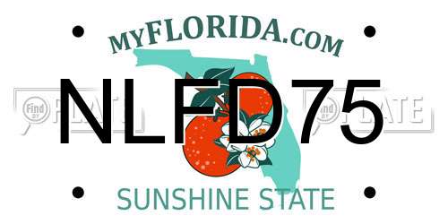 NLFD75 Florida License Plate