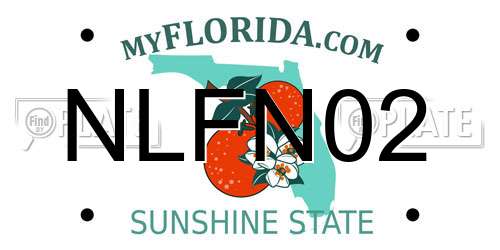 NLFN02 Florida License Plate