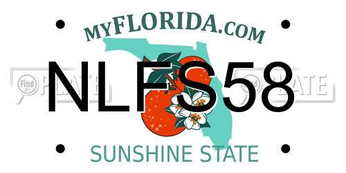 NLFS58 Florida License Plate