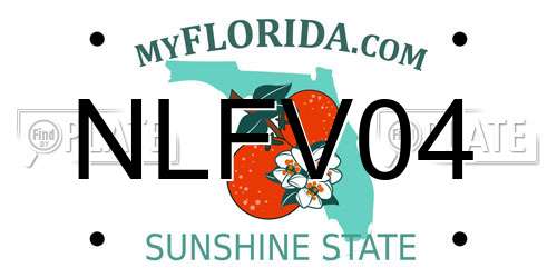 NLFV04 Florida License Plate