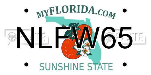 NLFW65 Florida License Plate
