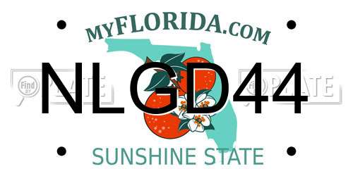 NLGD44 Florida License Plate