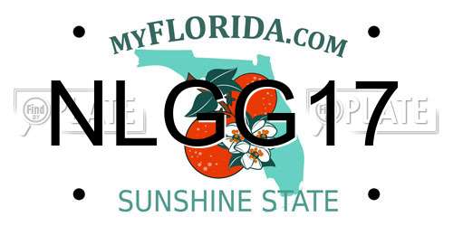 NLGG17 Florida License Plate