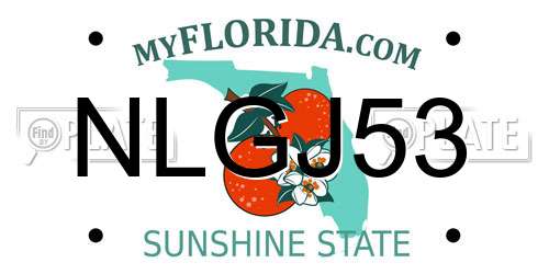 NLGJ53 Florida License Plate