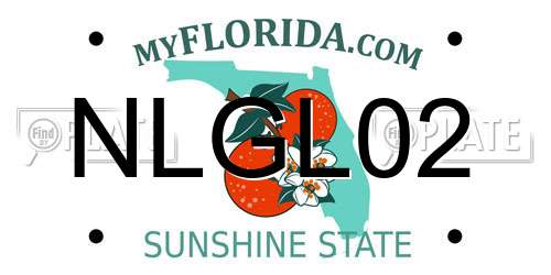 NLGL02 Florida License Plate