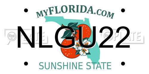 NLGU22 Florida License Plate