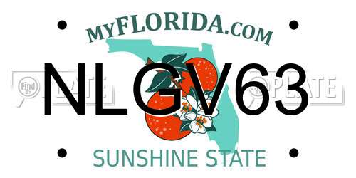 NLGV63 Florida License Plate