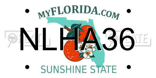 NLHA36 Florida License Plate