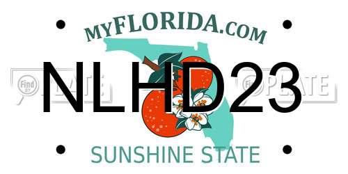 NLHD23 Florida License Plate