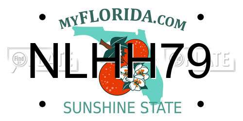 NLHH79 Florida License Plate