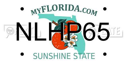 NLHP65 Florida License Plate