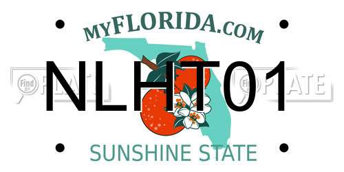 NLHT01 Florida License Plate
