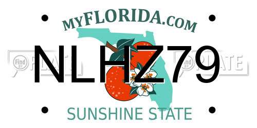 NLHZ79 Florida License Plate