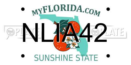 NLIA42 Florida License Plate