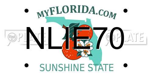 NLIE70 Florida License Plate