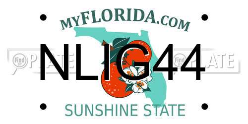 NLIG44 Florida License Plate