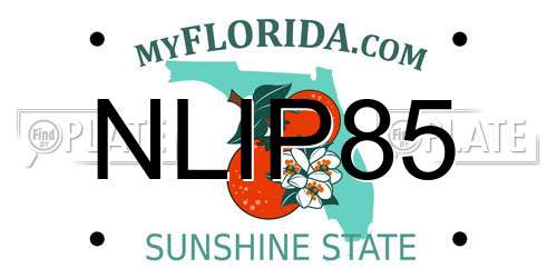 NLIP85 Florida License Plate