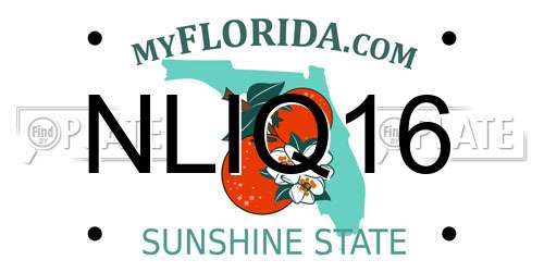 NLIQ16 Florida License Plate