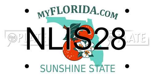 NLIS28 Florida License Plate
